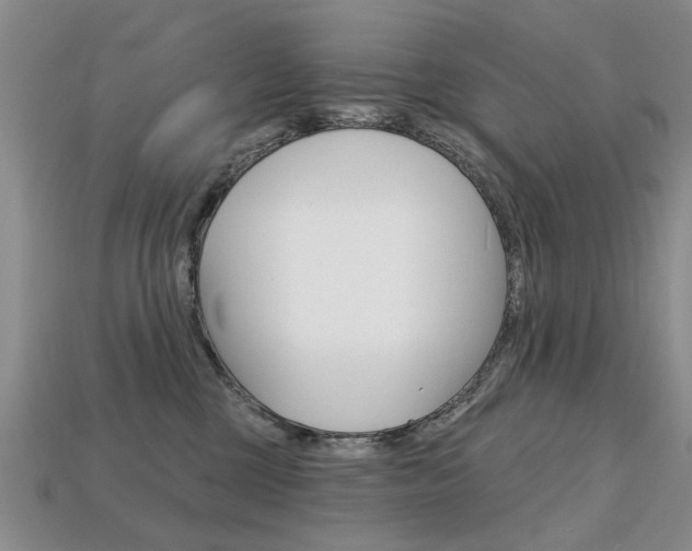X0000113860377200909241030