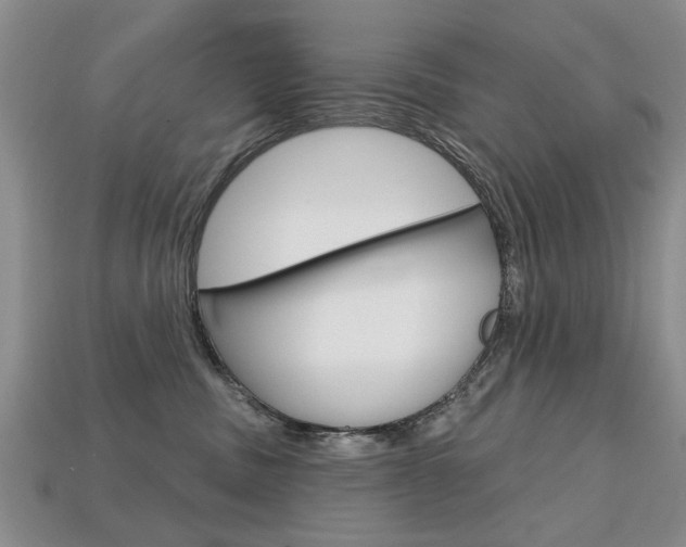 X0000113860379200909241030