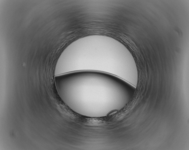 X0000113860380200909241030