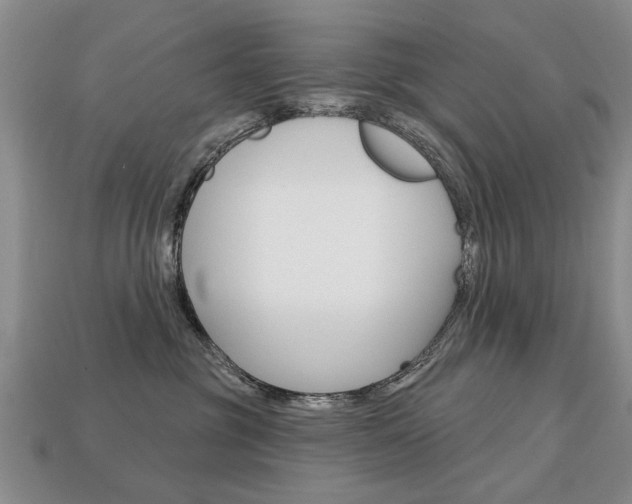 X0000113860381200909241030