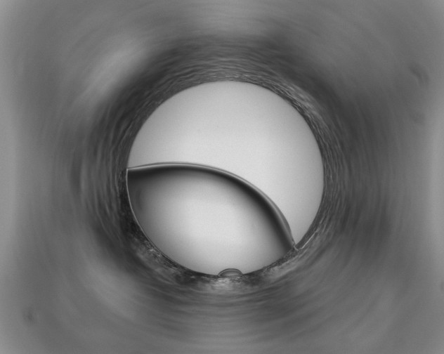 X0000113860382200909241030