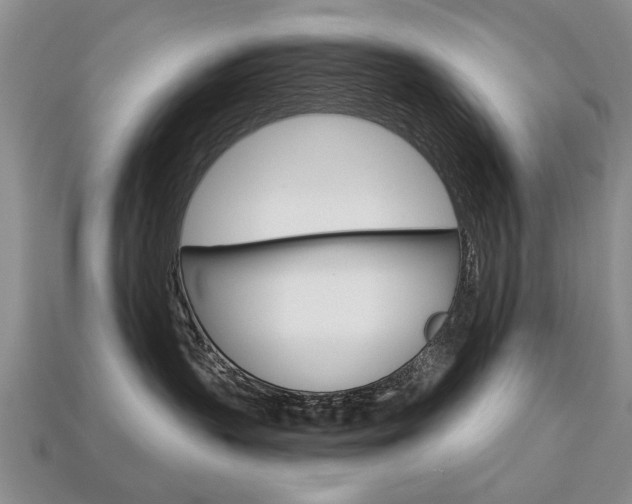 X0000113860383200909241030