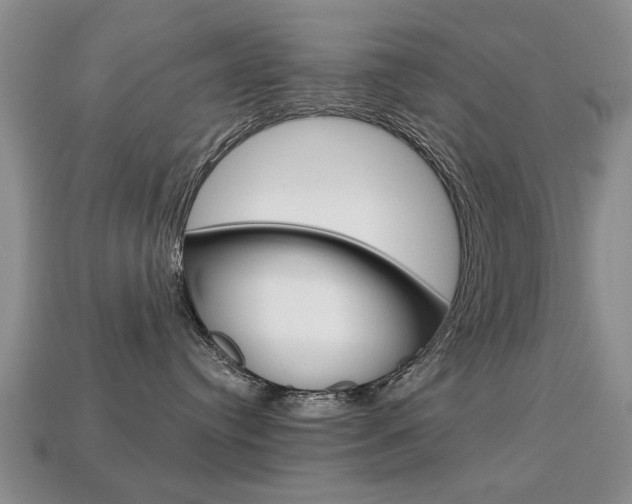X0000113860384200909241030
