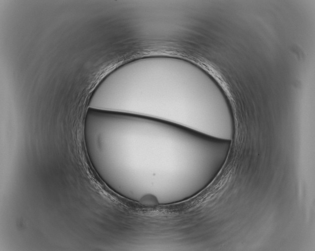 X0000113860385200909241030