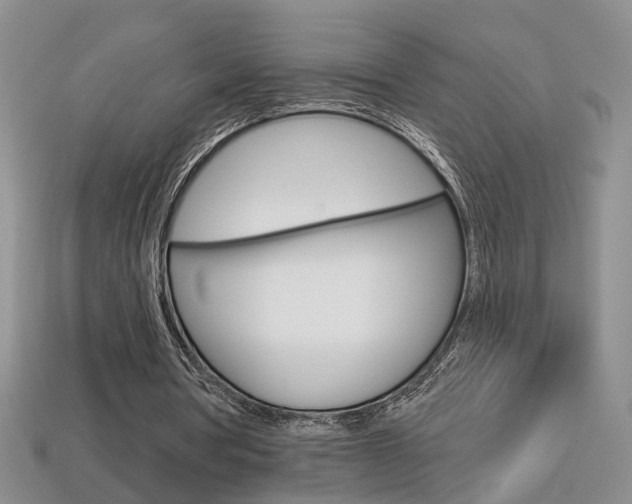 X0000113860386200909241030