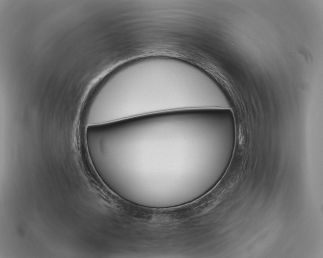 X0000113860388200909241030