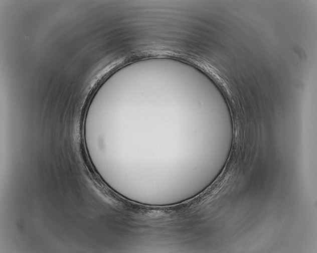 X0000113860390200909241030