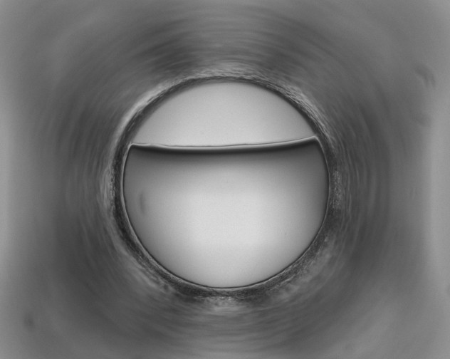 X0000113860392200909241030