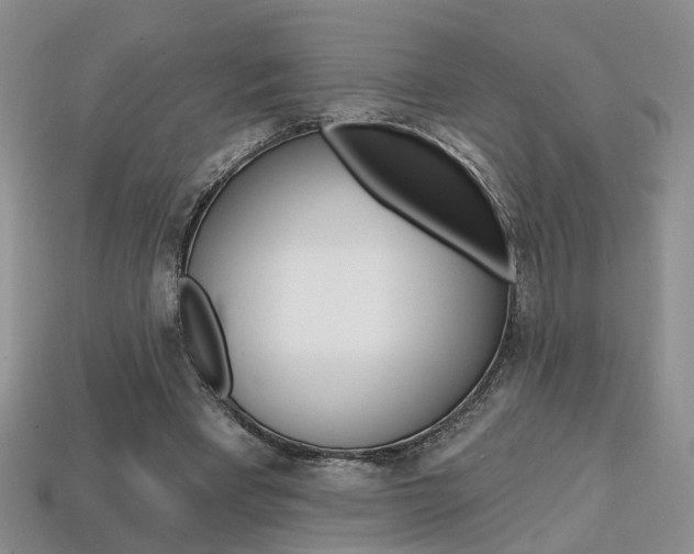 X0000113860393200909241030