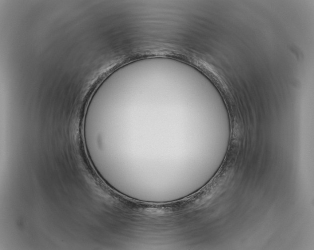 X0000113860394200909241030