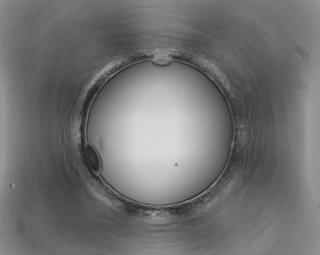 X0000113860395200909241030