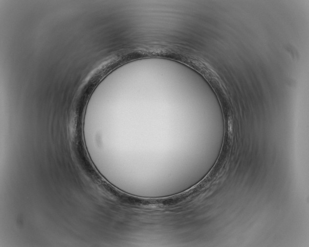 X0000113860396200909241030