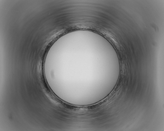 X0000113860398200909241030