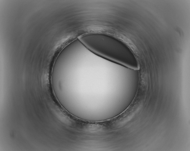 X0000113860399200909241030