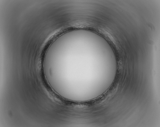 X0000113860400200909241030