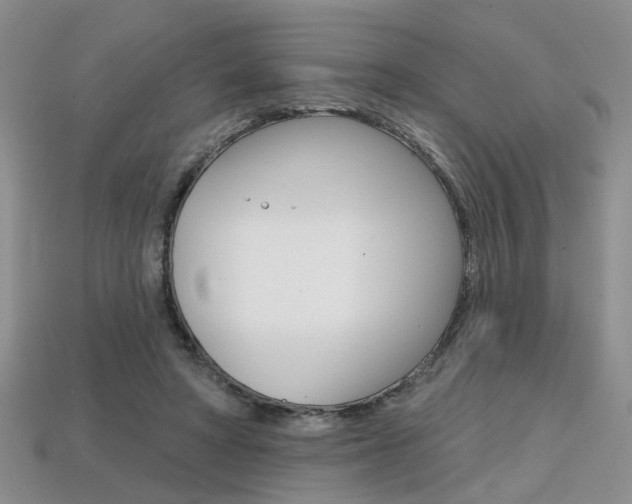 X0000113860402200909241030