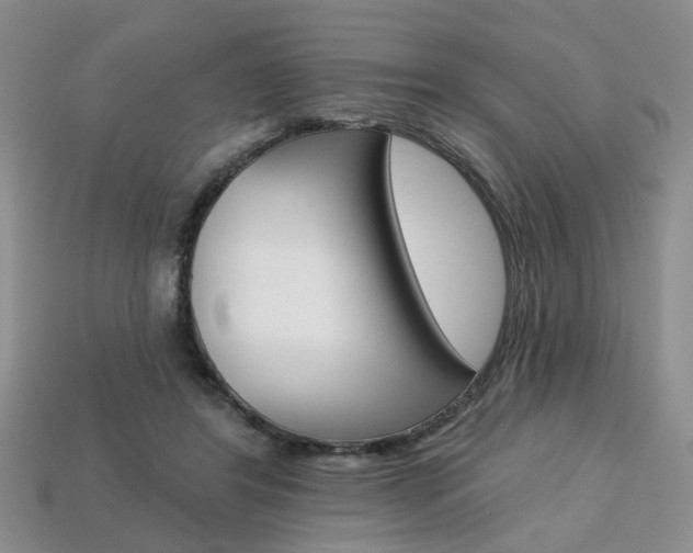 X0000113860404200909241030