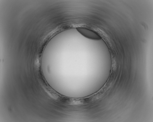 X0000113860405200909241030