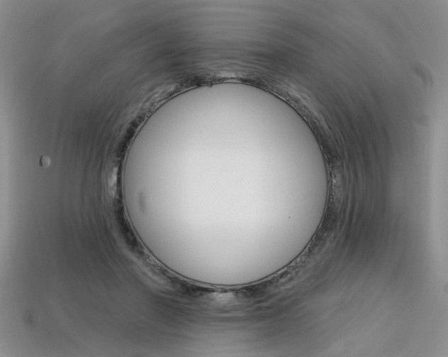 X0000113860406200909241030