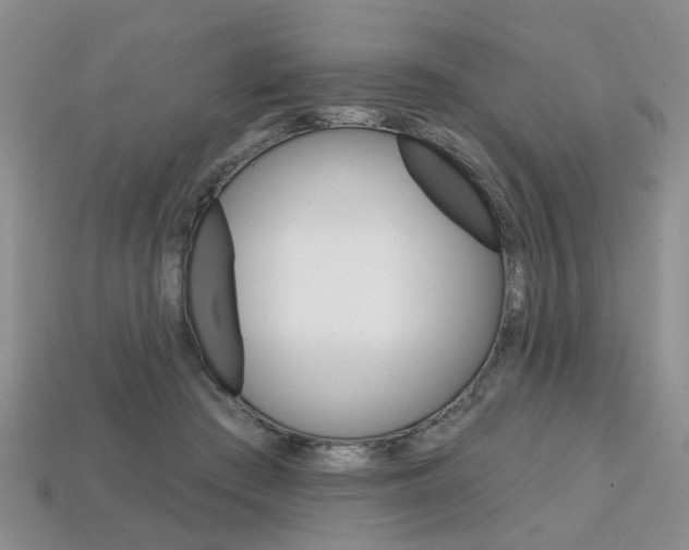 X0000113860409200909241029