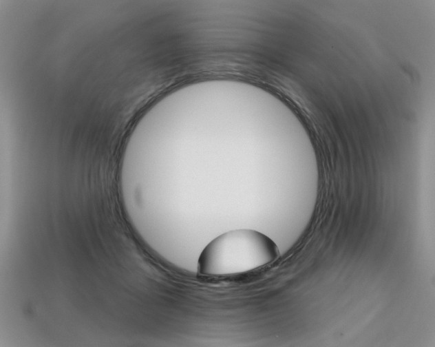 X0000113860411200909241029