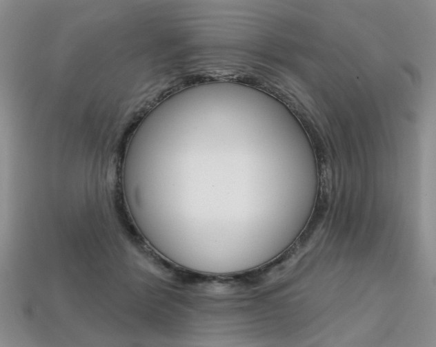 X0000113860412200909241029