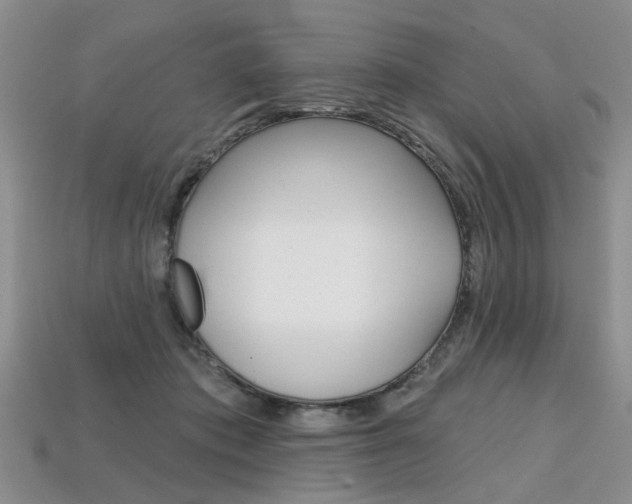 X0000113860413200909241029