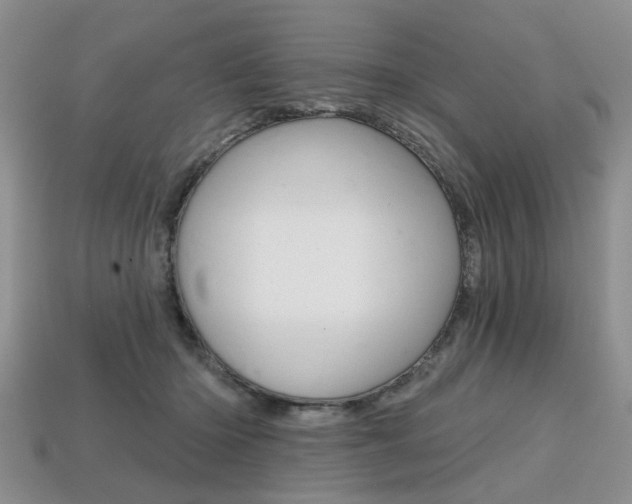 X0000113860414200909241029