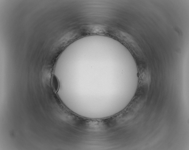 X0000113860415200909241029