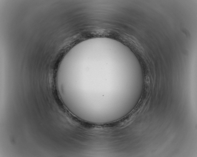 X0000113860416200909241029