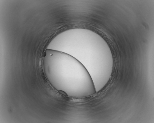 X0000113860417200909241029