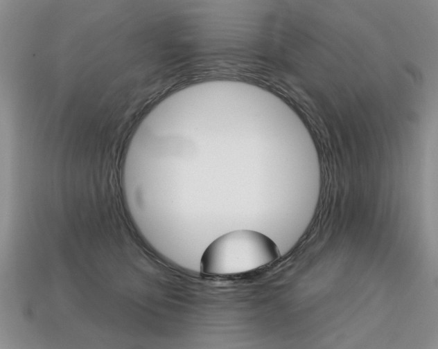 X0000113860419200909241029
