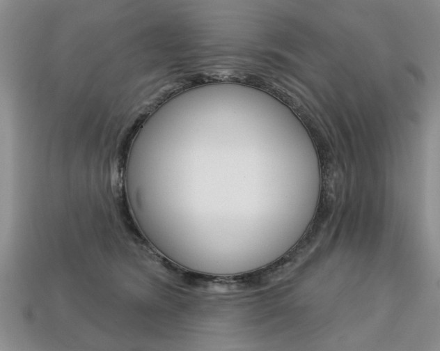 X0000113860420200909241029