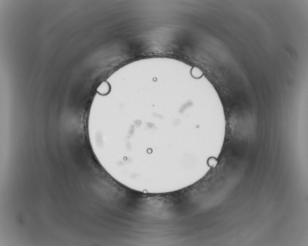 X0000113860423200909241029