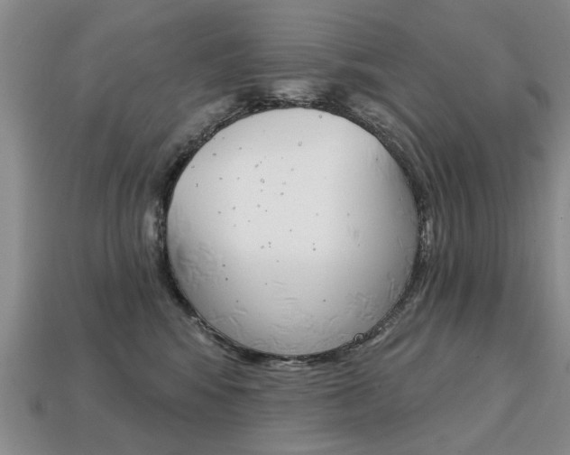 X0000113860424200909241029
