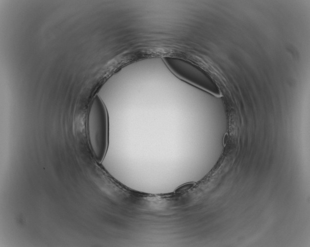 X0000113860425200909241029