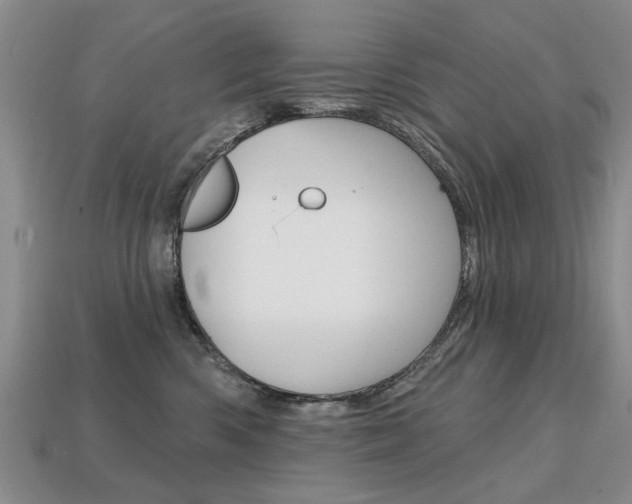 X0000113860426200909241029