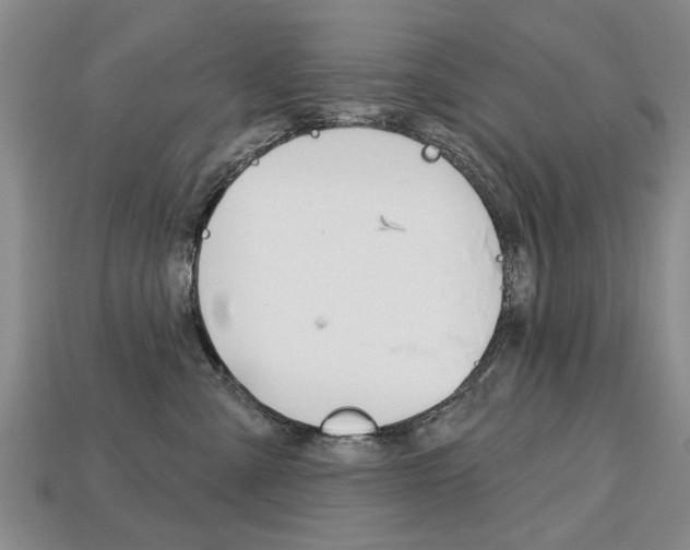 X0000113860427200909241029