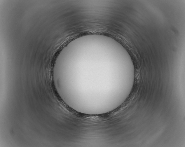 X0000113860428200909241029