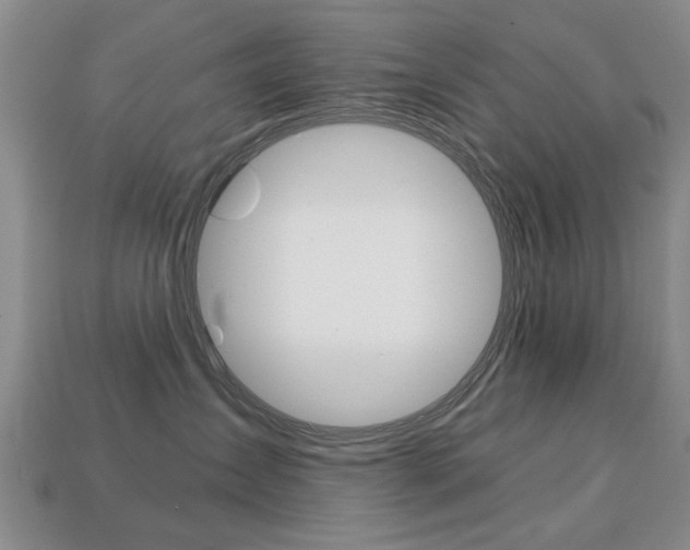 X0000113860431200909241029