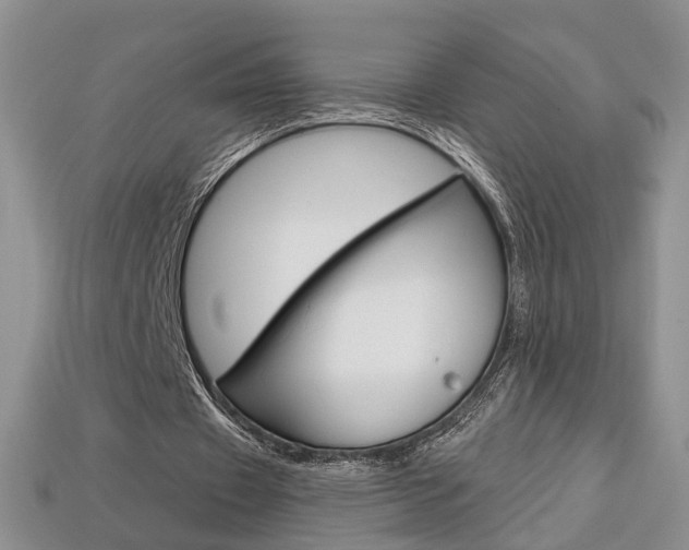 X0000113860433200909241029