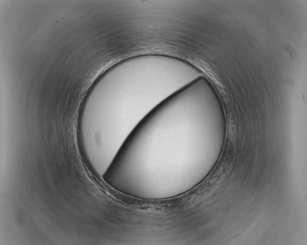 X0000113860434200909241029