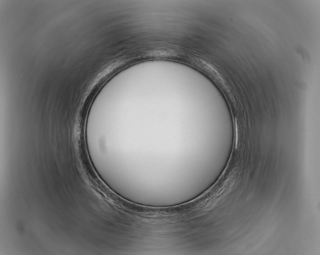 X0000113860435200909241029