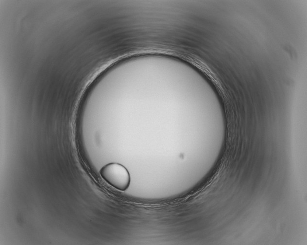 X0000113860436200909241029