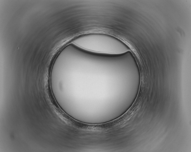 X0000113860437200909241029