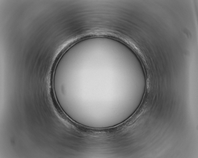 X0000113860438200909241029