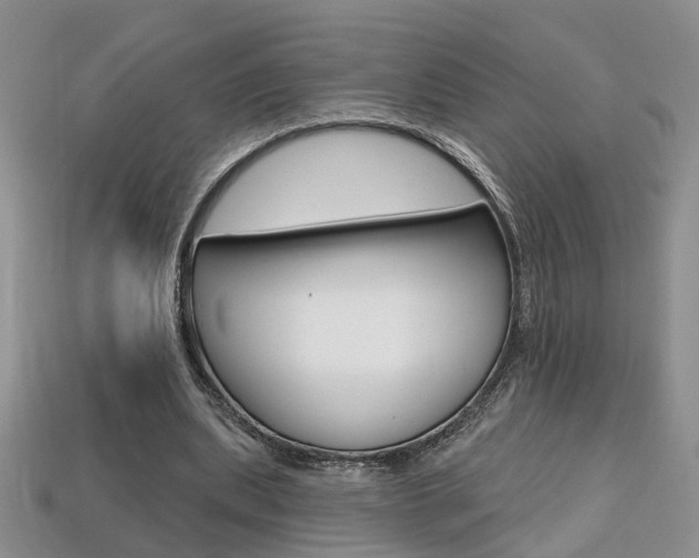 X0000113860439200909241029