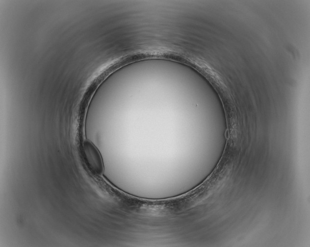 X0000113860440200909241029