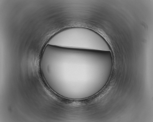 X0000113860441200909241029