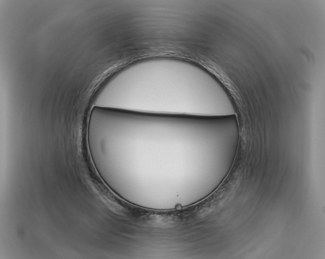 X0000113860442200909241029